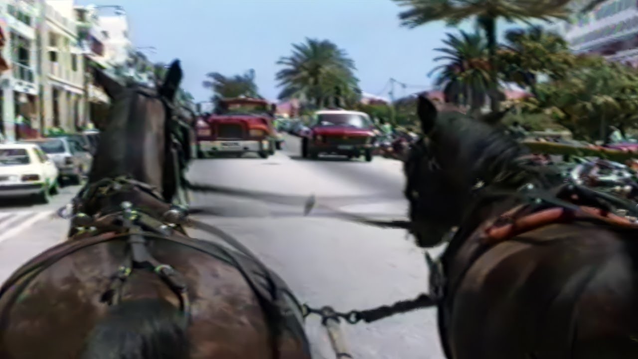 Bermuda Vacation 1993 ~ Round Trip Carriage Ride, Coachman and Tour Guide is Mr. Raymond Tucker