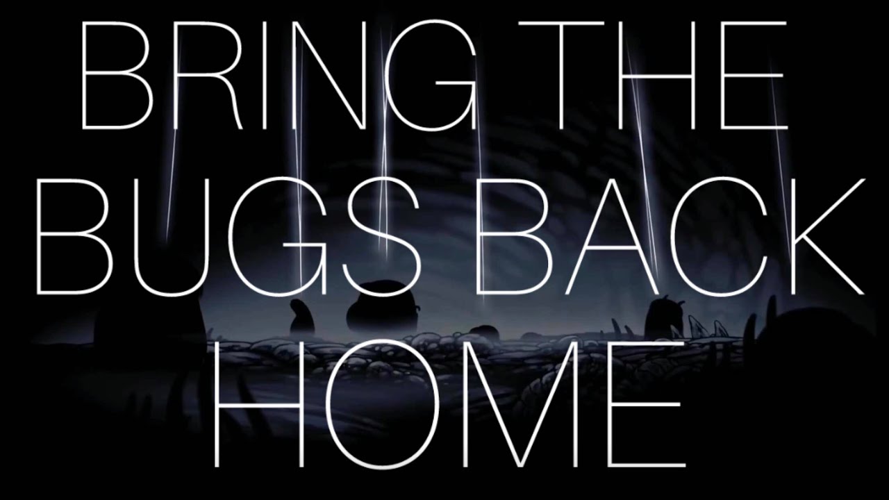 Bring the Bugs Back Home Pink Floyd Silksong edit