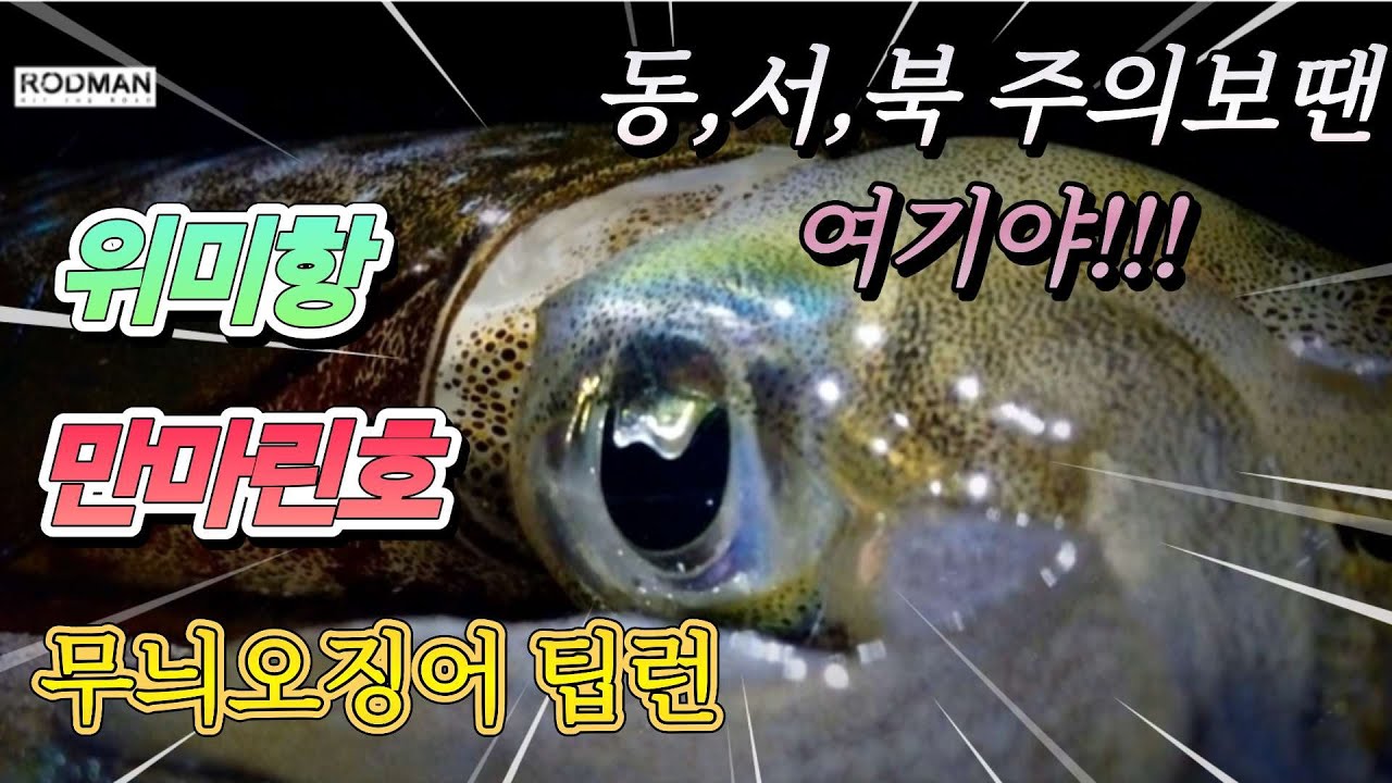거칠은 바다속에서 무늬오징어 꺼내기 어창 열어라~오늘은 오징어 잘 안나올 예정!!!
