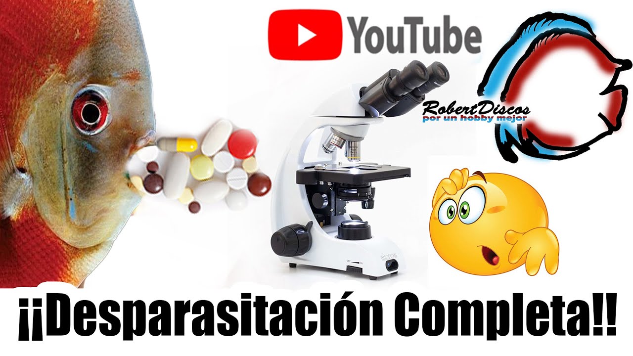 Como desparasitar peces Discos.