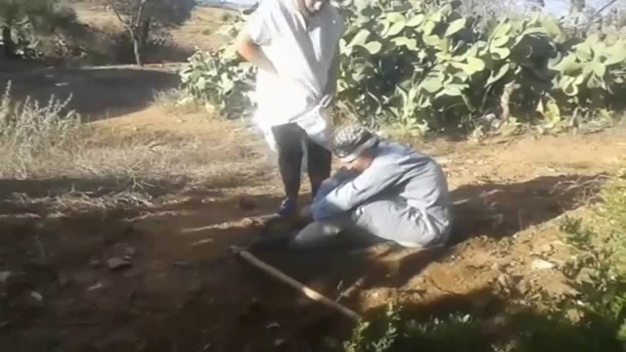 فيلم الريفي القصير -صراع الأب و الأبناء-