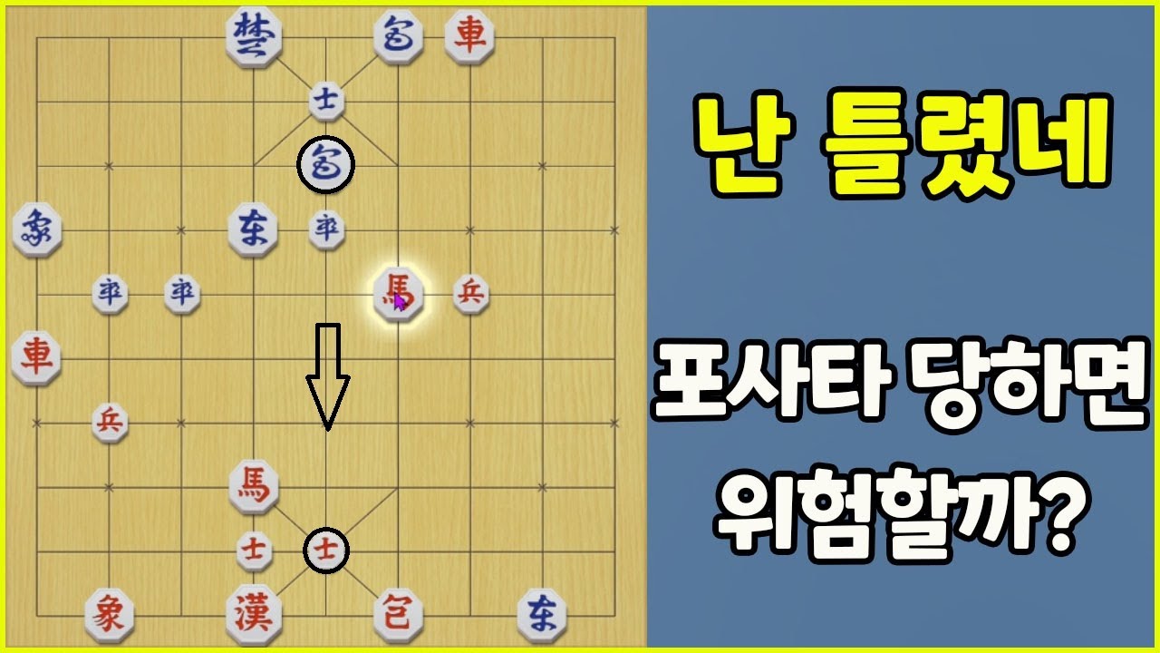 만약에 포사타를 당했다면..과연 어떻게 됐을까요? (슈이비닝 장기)