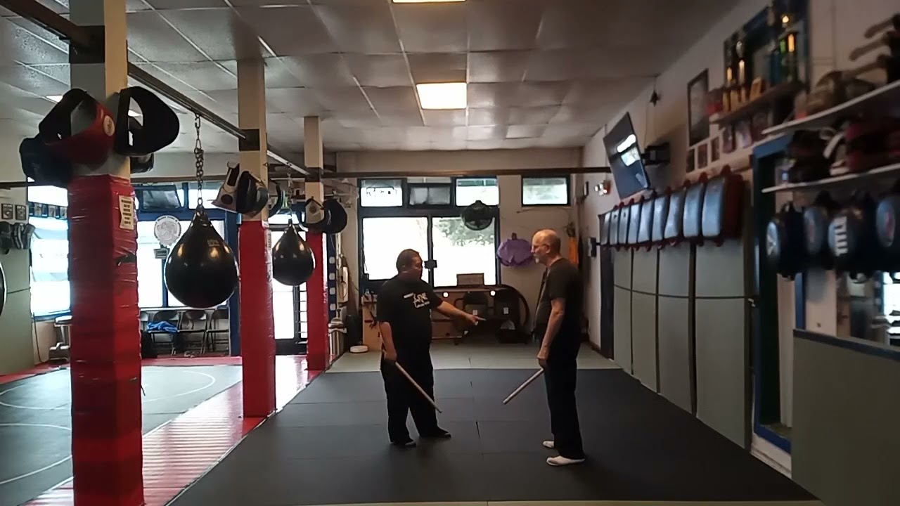 Modern Arnis Class with Dr. Remy Presas Jr