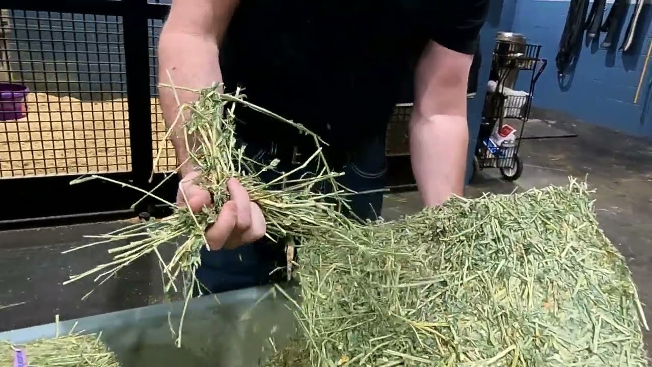 Clinton Anderson: The Foundation of My Feeding Program