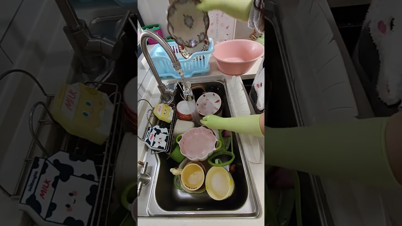 Who Loves Dishwashing? A Surprising Divide! DishWashingDilemma