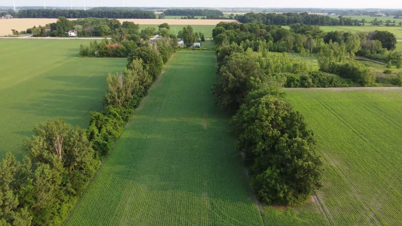 Drone Video over farmland in Belle River Ontario