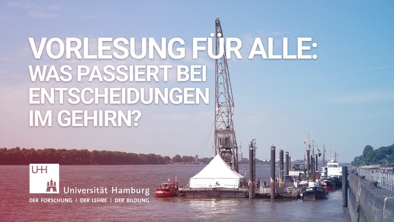 Vorlesung für alle – Was passiert bei Entscheidungen im Gehirn?