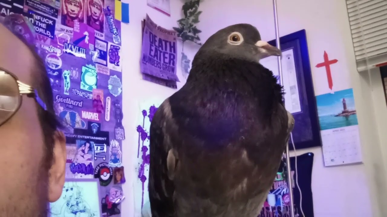 after work smoke sesh with birbie. (vapor sesh no smoke 420 mad labs all day.)