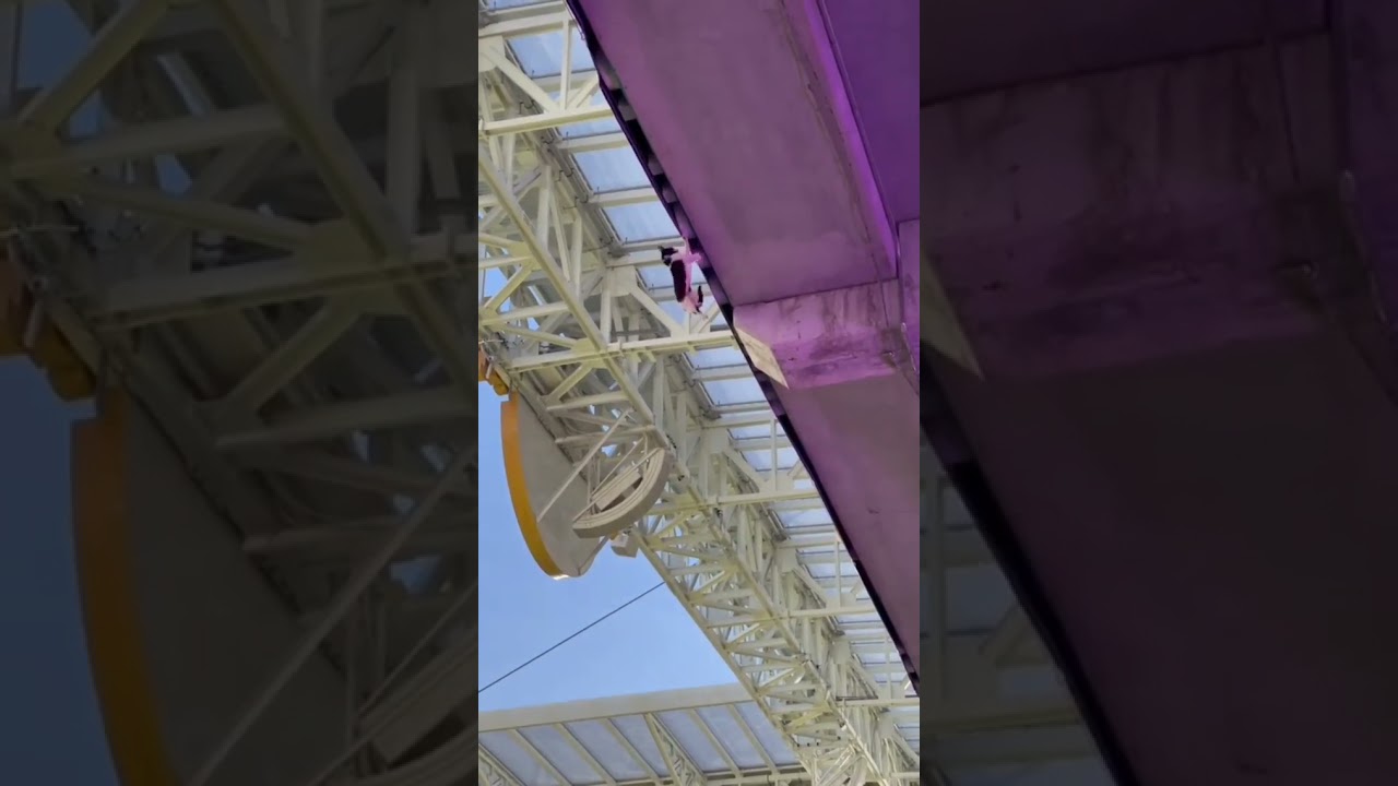 Saved a cat's life ❤ Good Job Brother . . #cat #catlife #savelife #savinglifes#lifesa #shorts #video