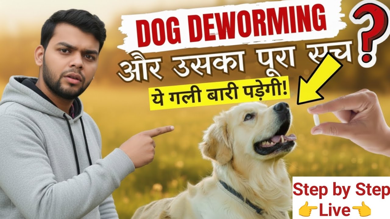 Dog Deworming Kaise Kare | Dog Deworming Kaise Karte Hain | How To Deworm A Puppy & Dog  