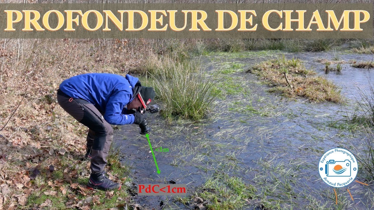Profondeur de champ en proxi-photographie