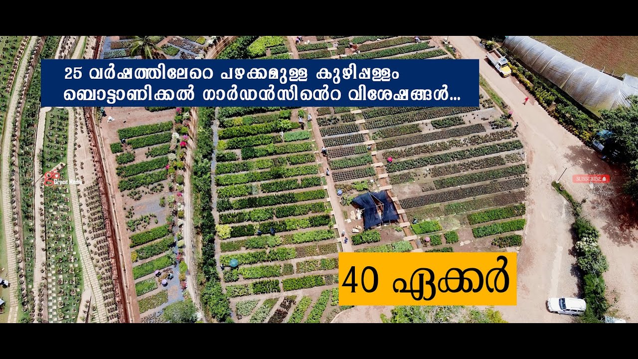 Kuzhippallam Botanical Garden | Kerala Biggest Garden |  ബൊട്ടാണിക്കൽ ഗാർഡൻ |  #kuzhipallam #garden