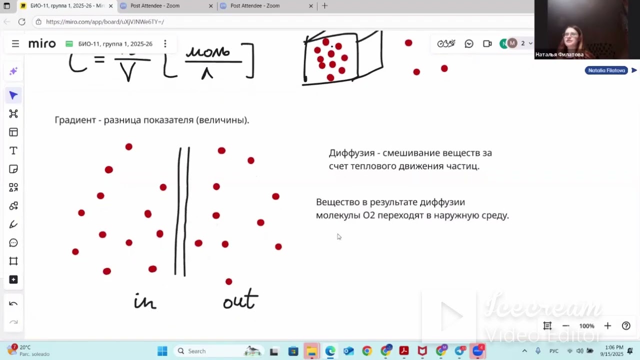 Осмос