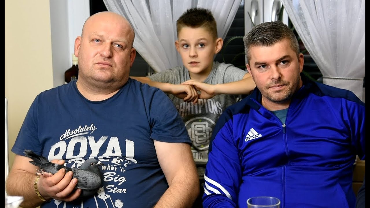 Tomasz Czapliński - PZHGP 0344 Rypin / Najdroższe Gołębie W Polsce !
