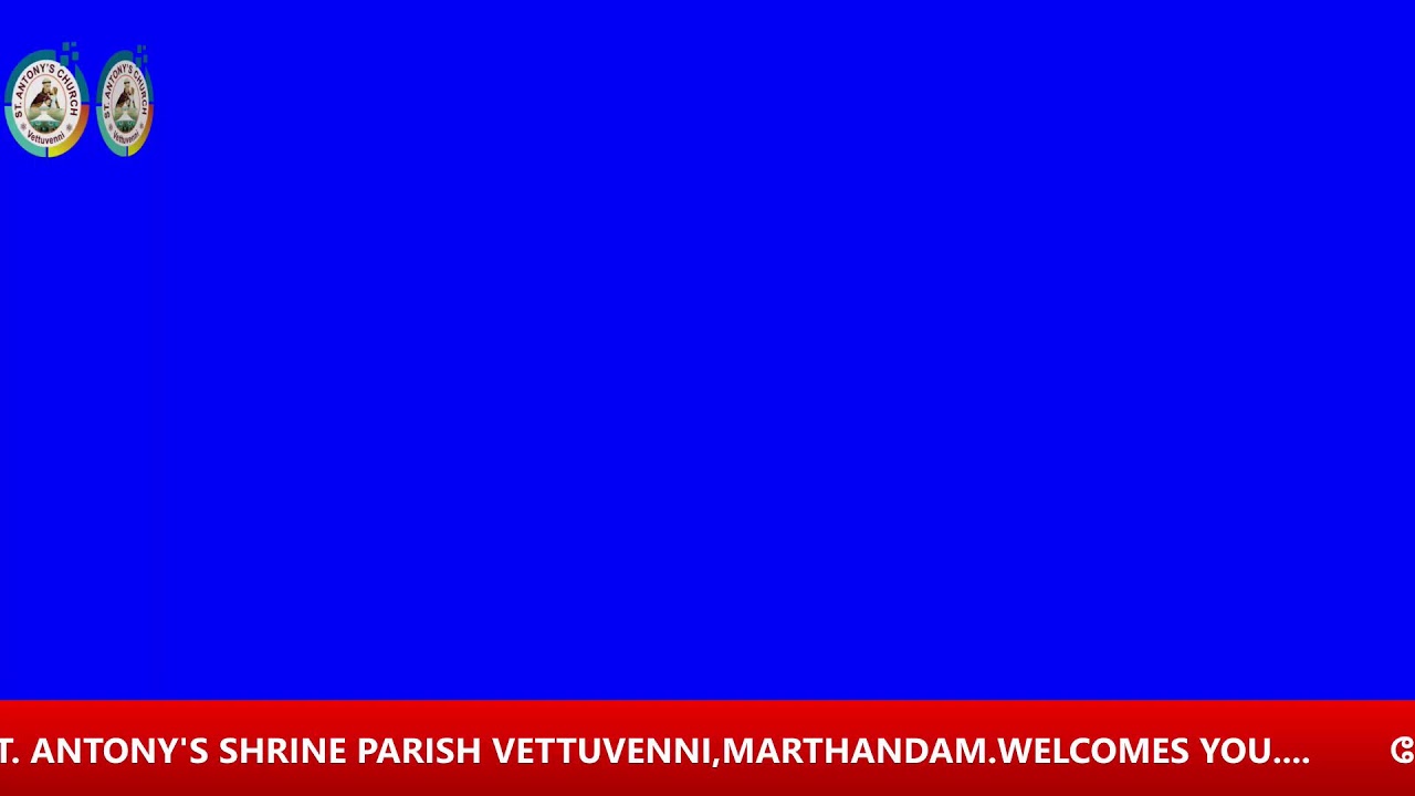 St Antony's Shrine Parish Vettuvenni  08.02.2026 SUNDAY Holy Mass