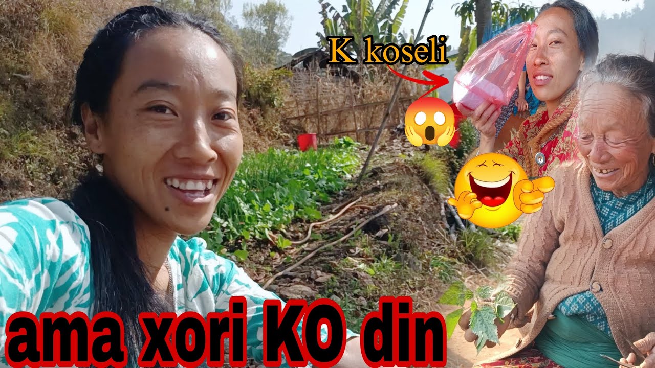 Aja ama xori KO din yesari gayo 😁/koseli pani ayo #gaughar #organic #villagelife 