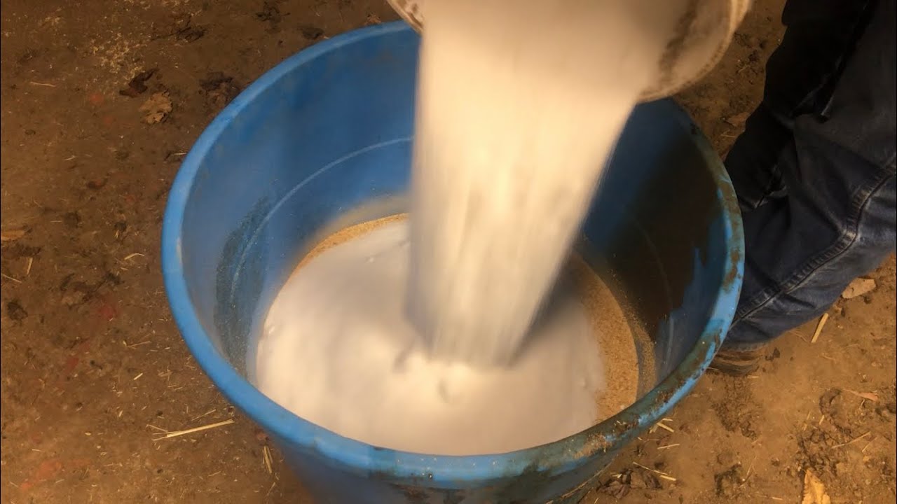 Making my Own Protein Supplement, Will this Even Work