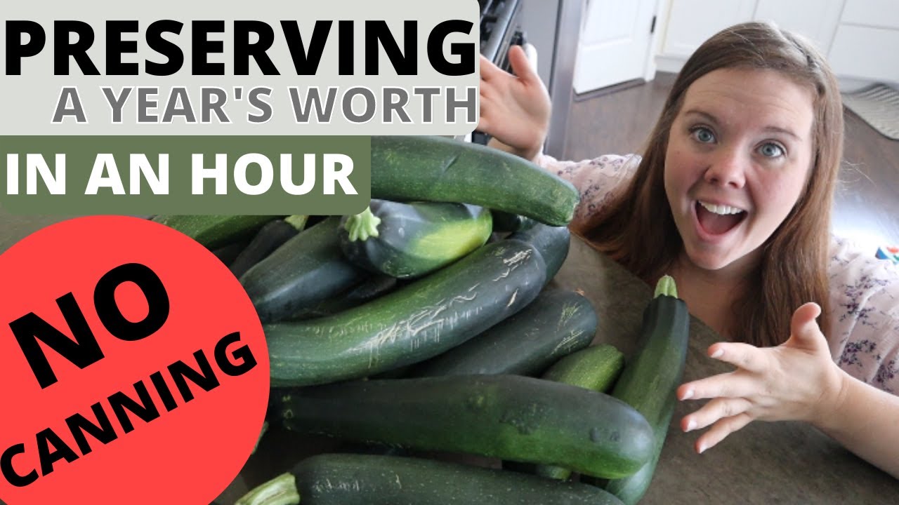 PRESERVING a YEAR'S worth of ZUCCHINI || So easy and NO CANNING!!!!