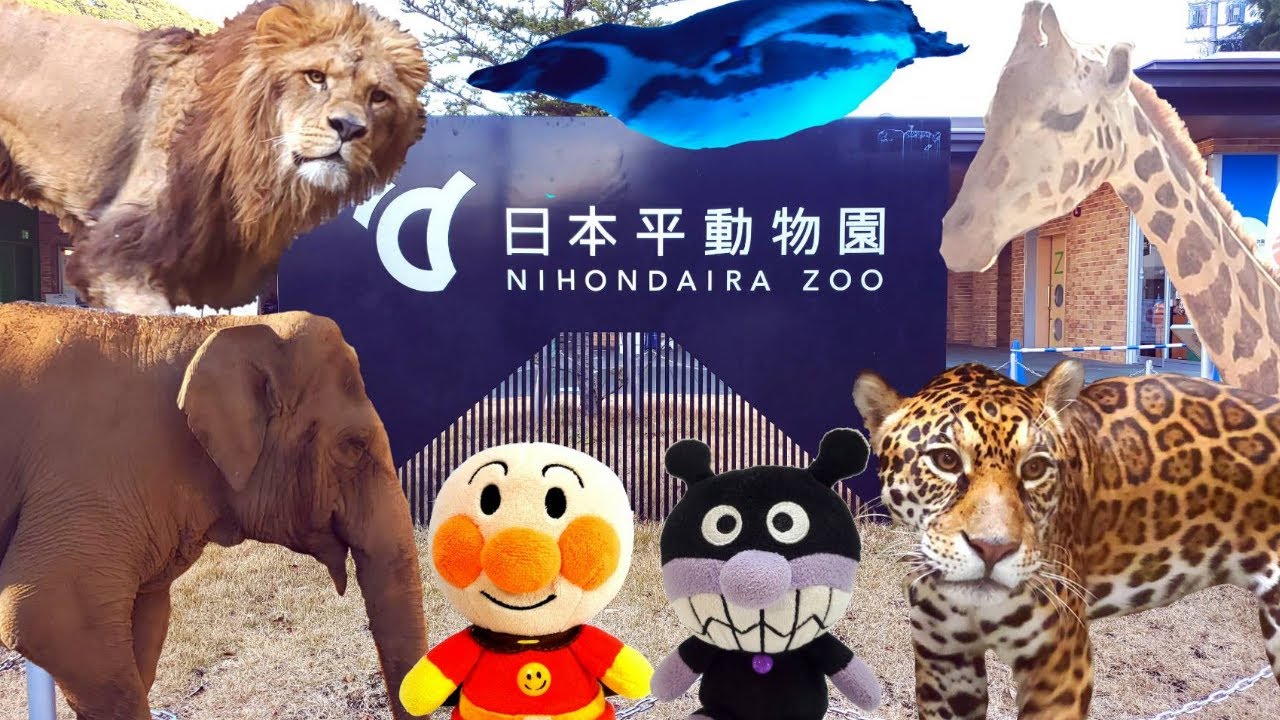 アンパンマン！おもちゃ　アニメ☆動物園にいってきたよ♡みんな、どの動物さんがすきかな？Zoo【animal】【日本平動物園】