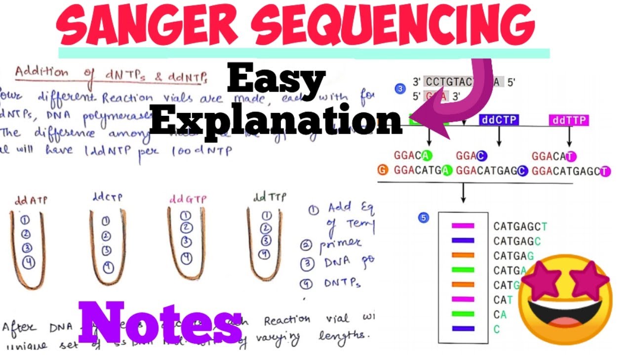 Sanger Sequencing || DNA sequencing Method#notes #techniques 🤩