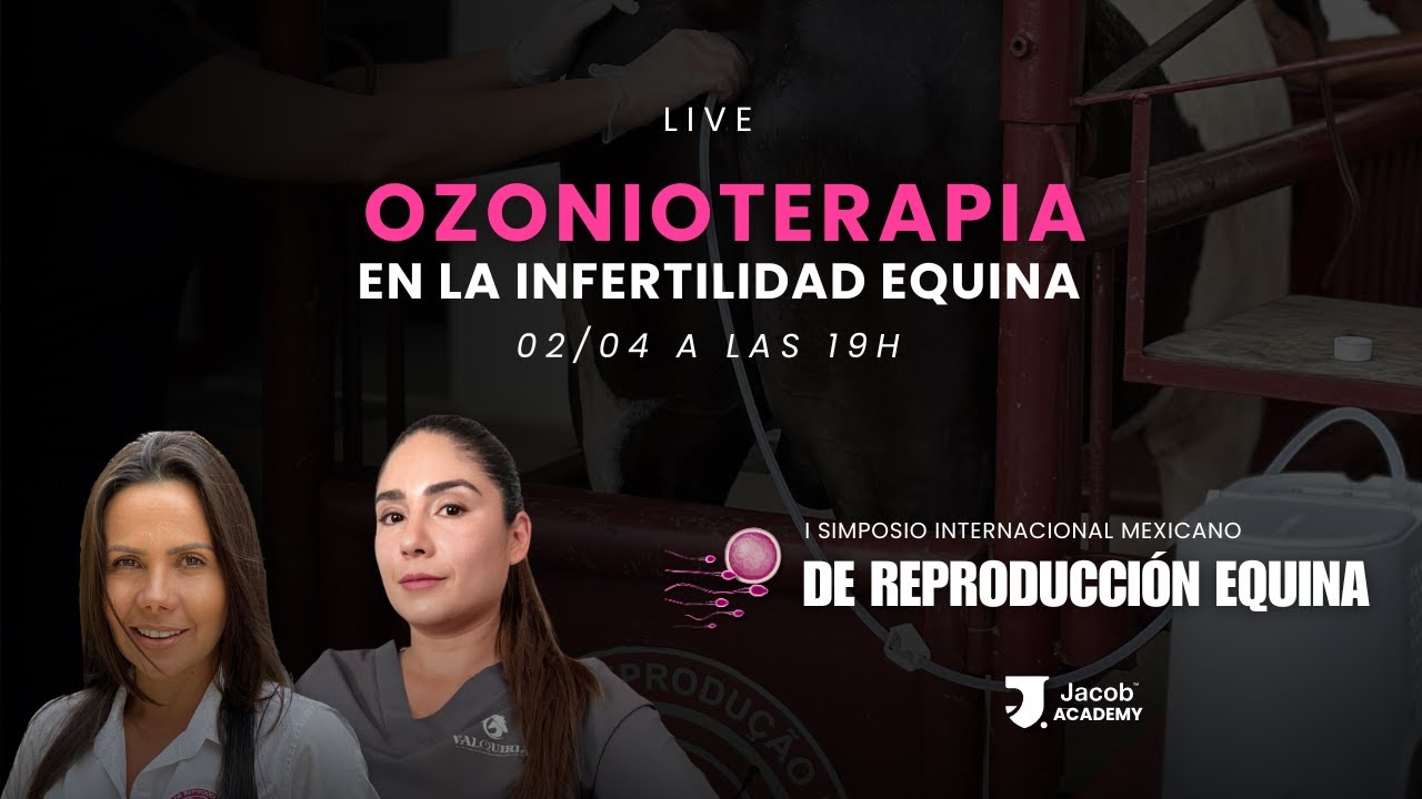 Ozonioterapia en la infertilidad equina - Jacob Academy