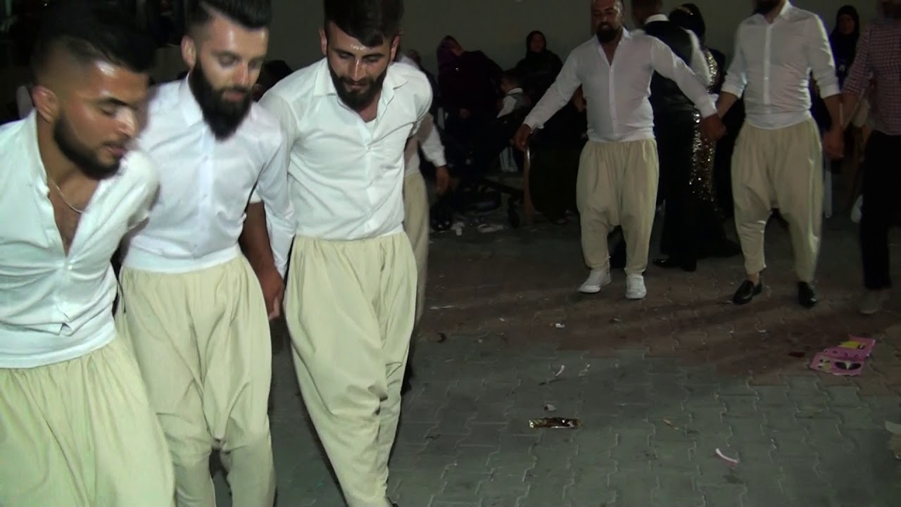 Büyük pörnek mala yissonun düğünü