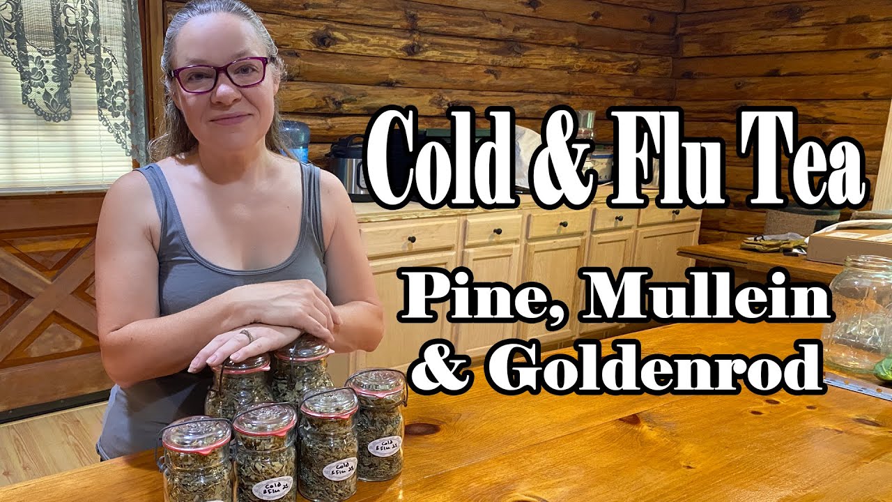 Cold & Flu Tea made with Pine, Mullein & Goldenrod