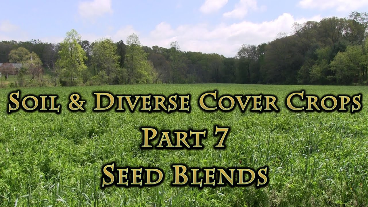 Soil & Diverse Cover Crops Part 7 Seed Blends