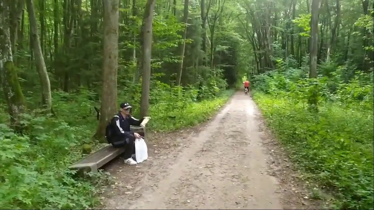 NERWOWY NAWĄCHANY MAJOR W LESIE REUP.(29.07.2020)