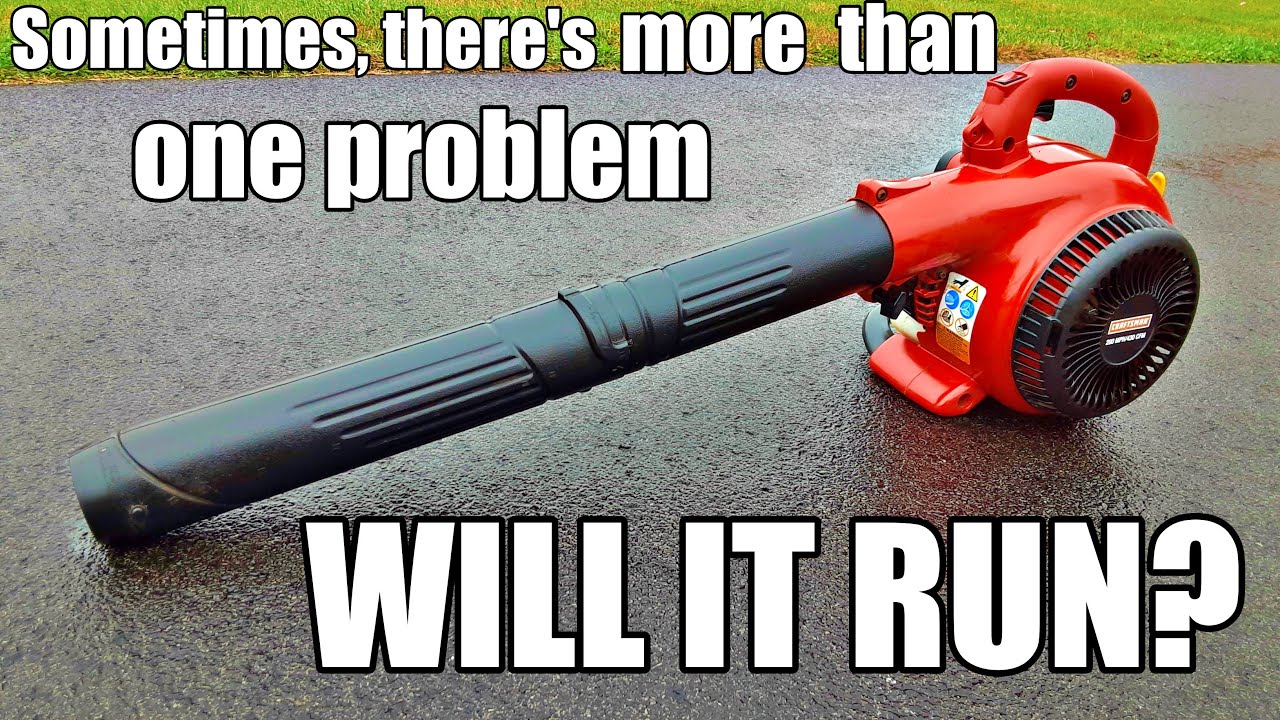 This leaf blower does not just have one problem. WILL IT RUN?