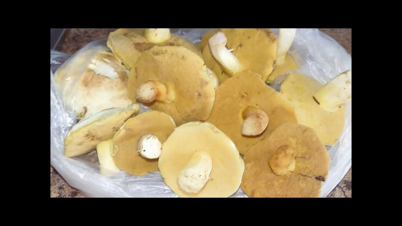 ПАШТЕТ ИЗ МАСЛЯТ ПАЛЬЧИКИ ОБЛИЖЕШЬ