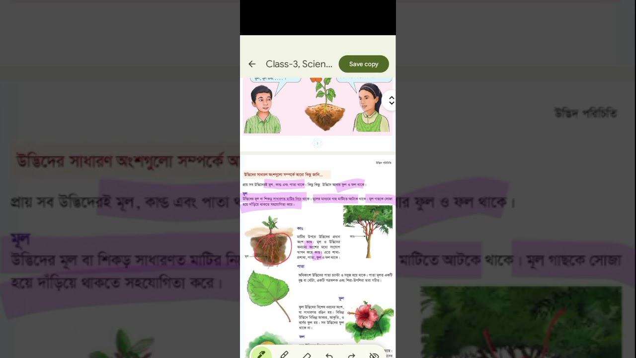 তৃতীয় শ্রেণী প্রাথমিক বিজ্ঞান | উদ্ভিদ পরিচিতি | গাছের অংশ ও উপকারিতা সহজভাবে