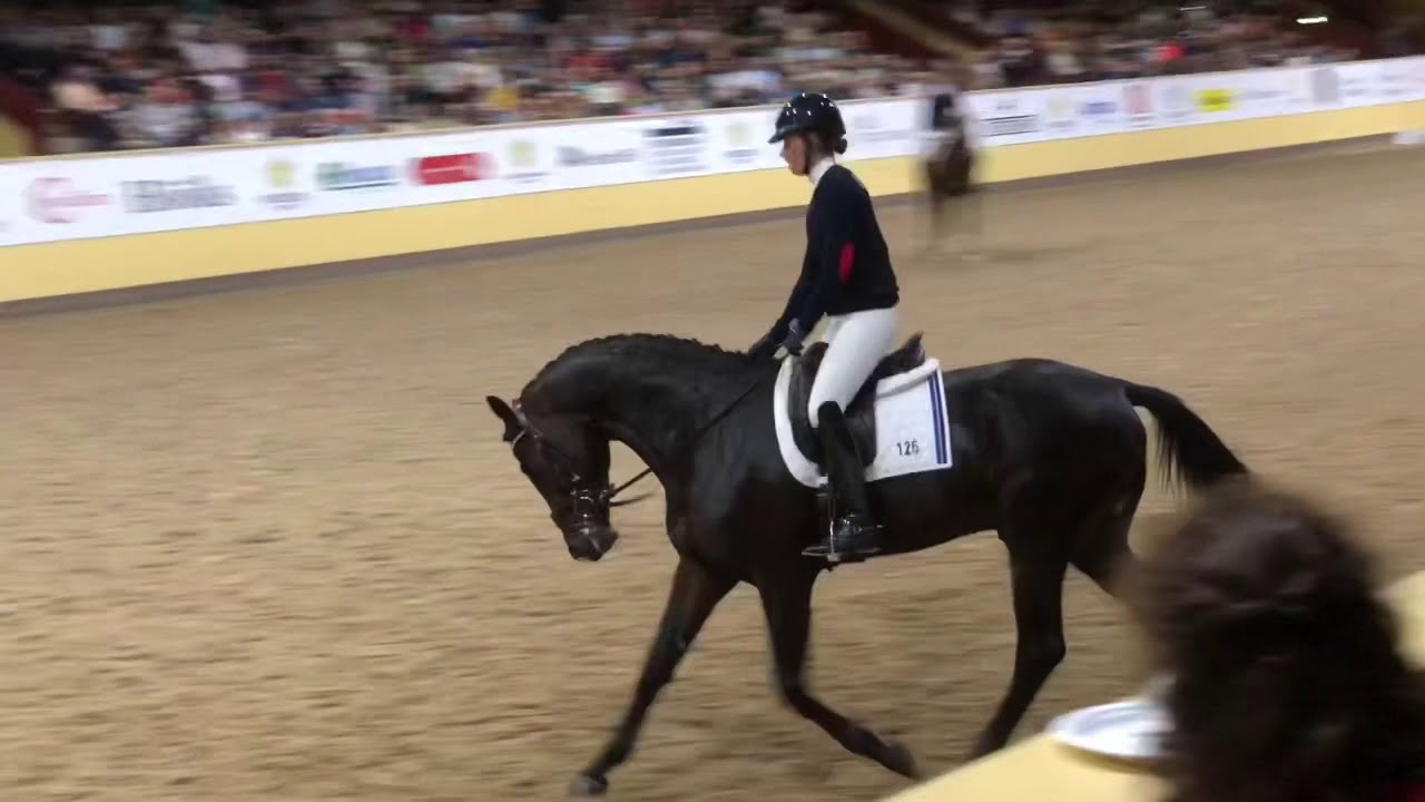 Demand 1344 testridning av Charlotte Dujardin .