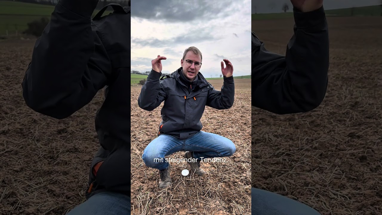 Diese 3 Dinge solltest du vor der R&uuml;benaussaat beachten☝️Jetzt in unserem Feldcheck in 30 Sekunden⌛