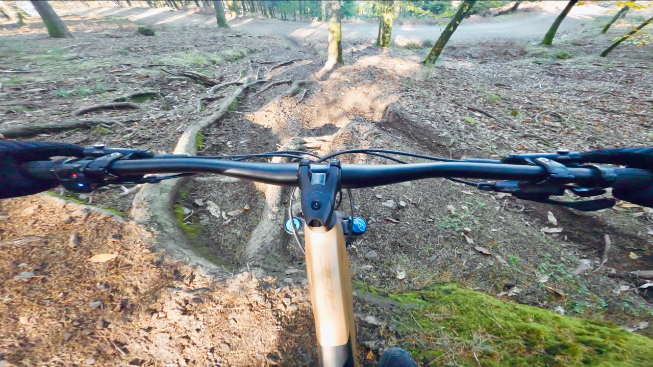 Lousa MTB - Fast and rough singletrack - Trail EN7