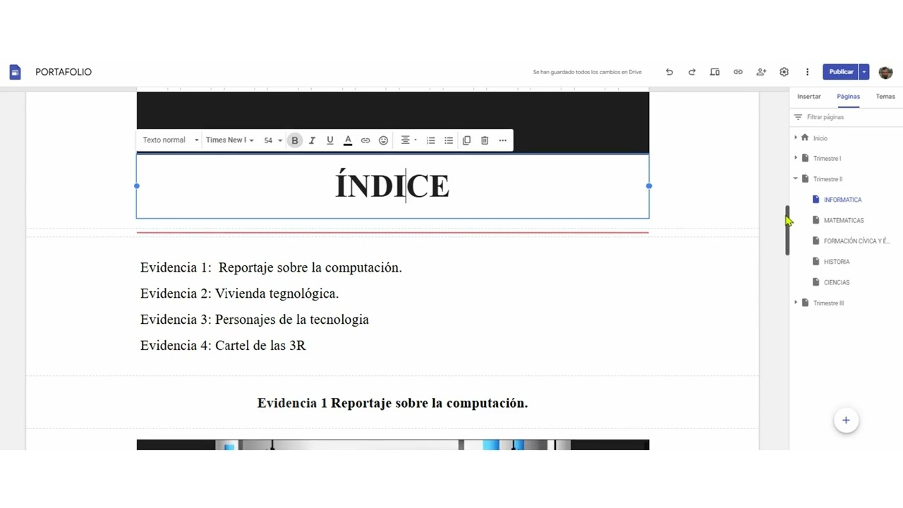 Portafolio por materia