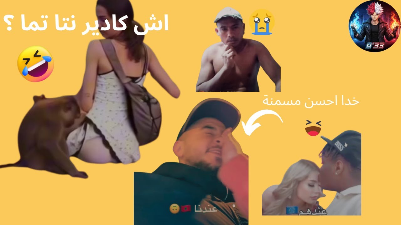 لقرد كايطل على تو... هه و خونا باسها وخدا مسمنة مزيانة