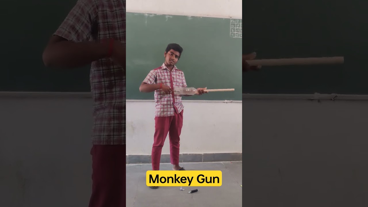 #monkey #gun