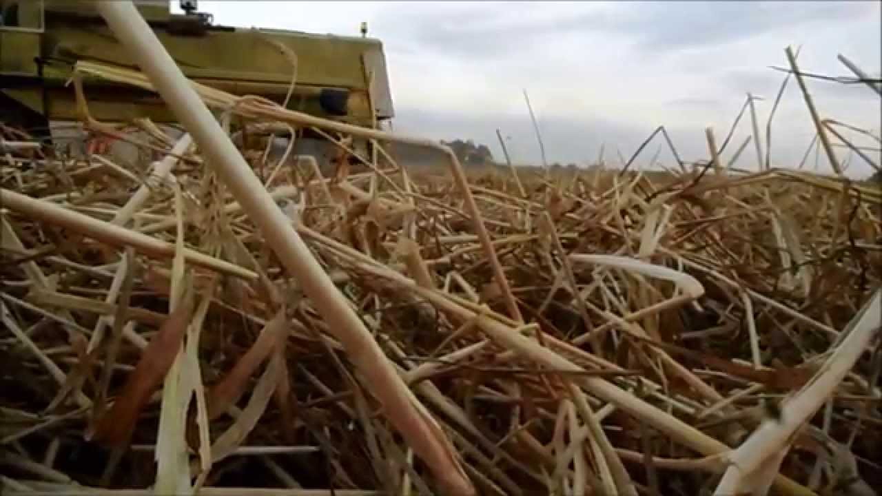 Żniwa 2k15 AgroJaja + Awarie