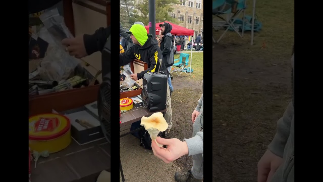 Hash Bash 2023! #hashbash2023 #cannabis #explore