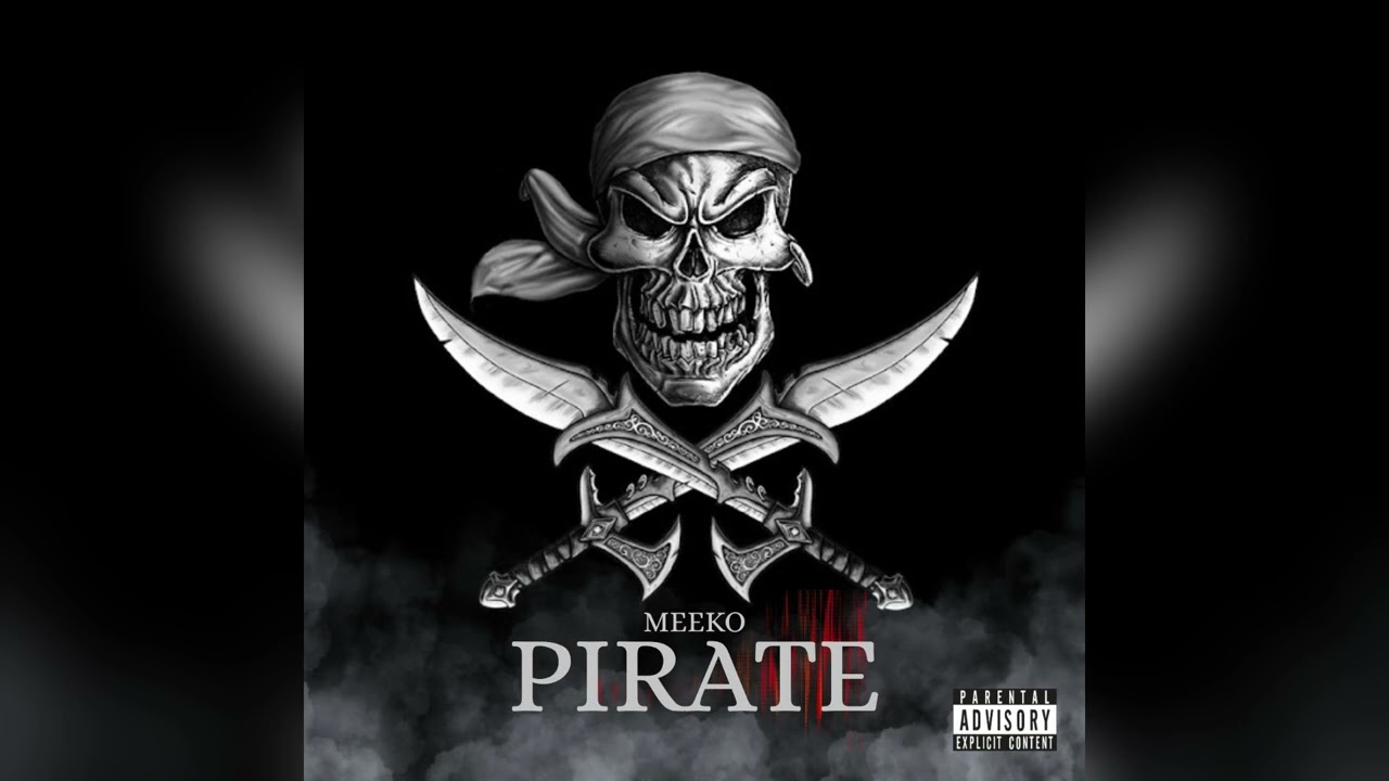 Meeko - Pirate 