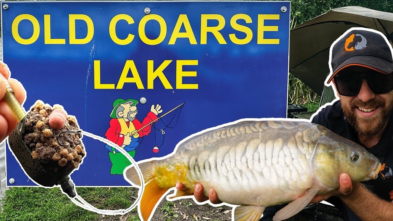 Margin Method Feeder Fishing | Mere Lane Old Coarse Lake