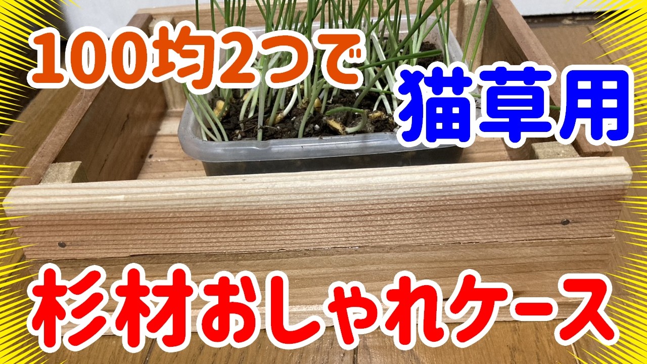 【猫草の箱 DIY】100均の焚き付け材で作る！おしゃれな木製ケースの作り方｜ダイソー・セリア活用術