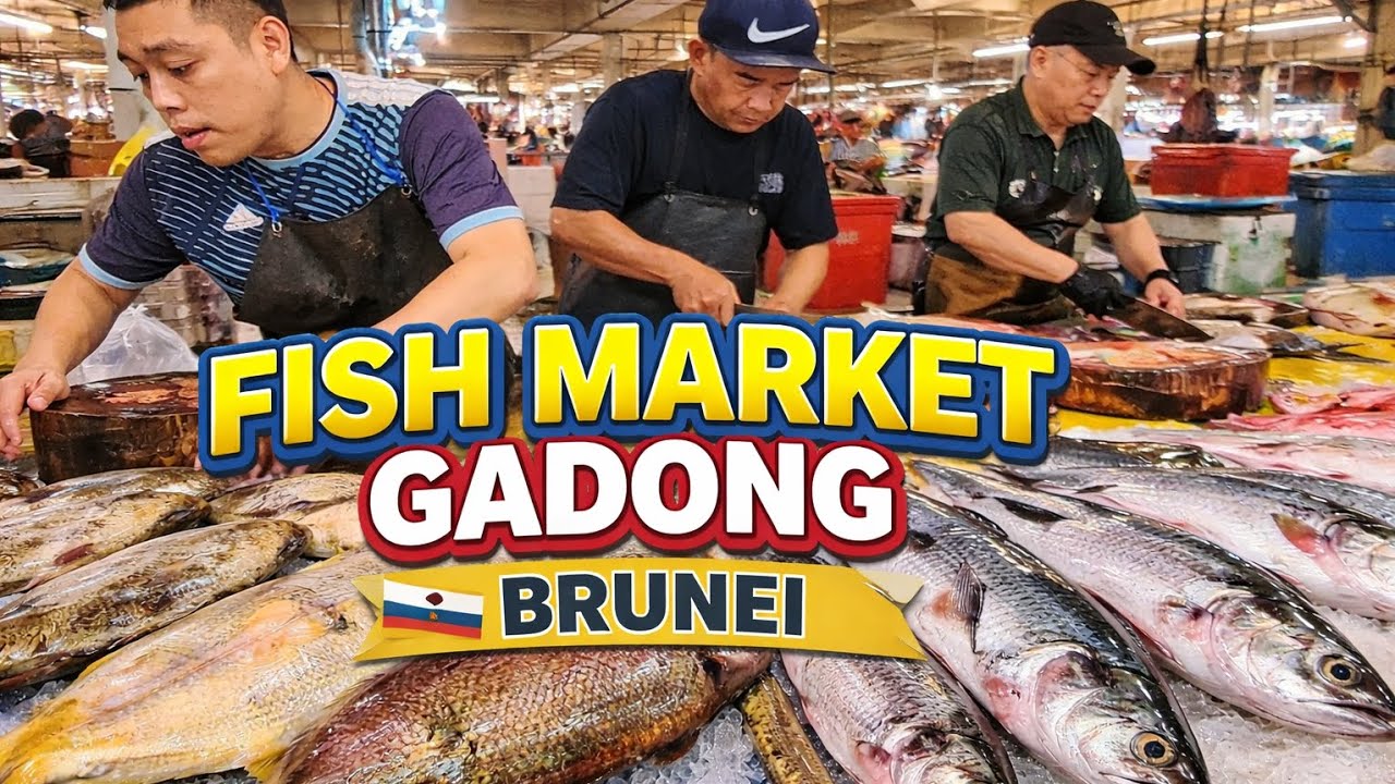 Fish Market Gadong Brunei 🇧🇳 | Fresh Seafood Tour in Brunei | Amazing Local Market Experience 