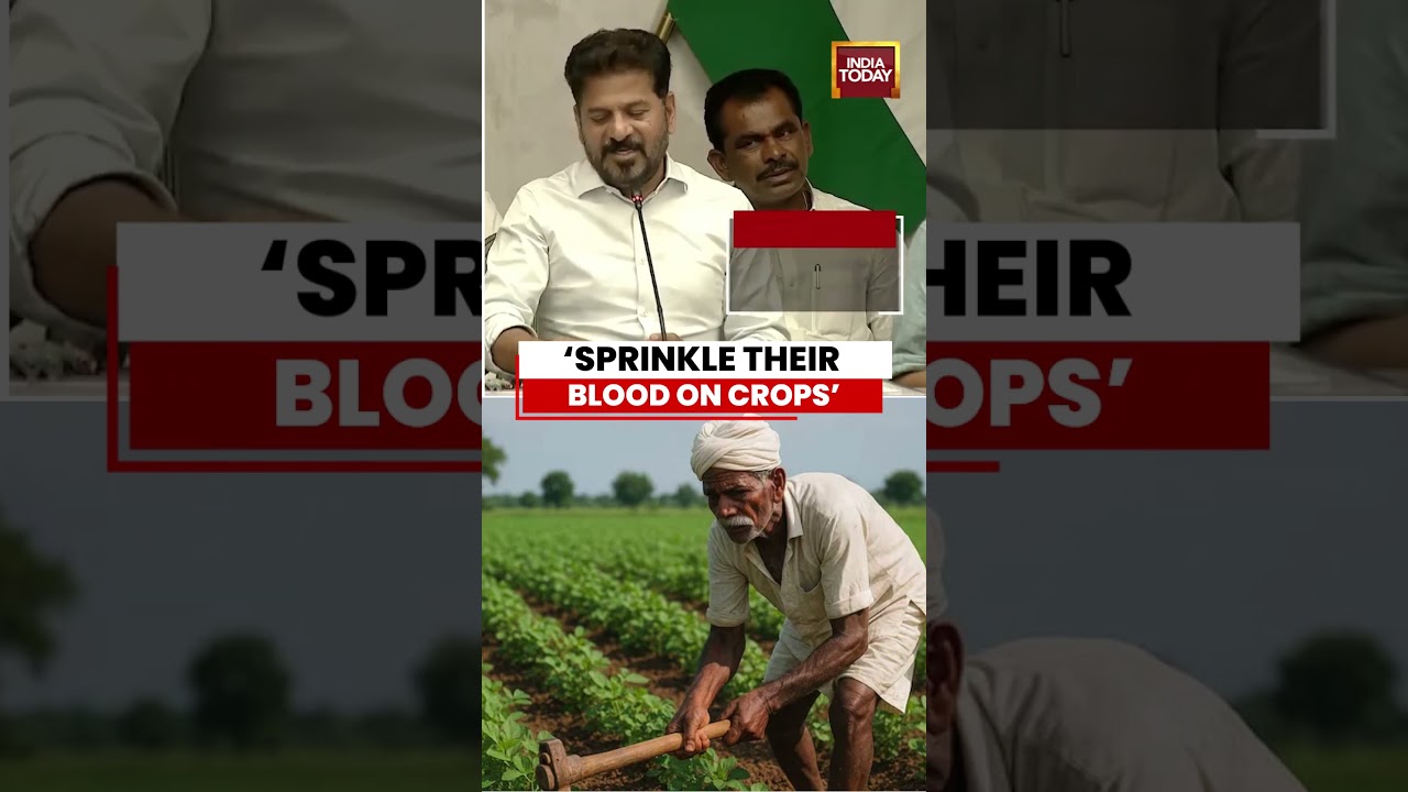 Revanth Reddy's Remark on BRS Leaders Sparks Row,  says 'Sprinkle Farmer's Blood on Crops'