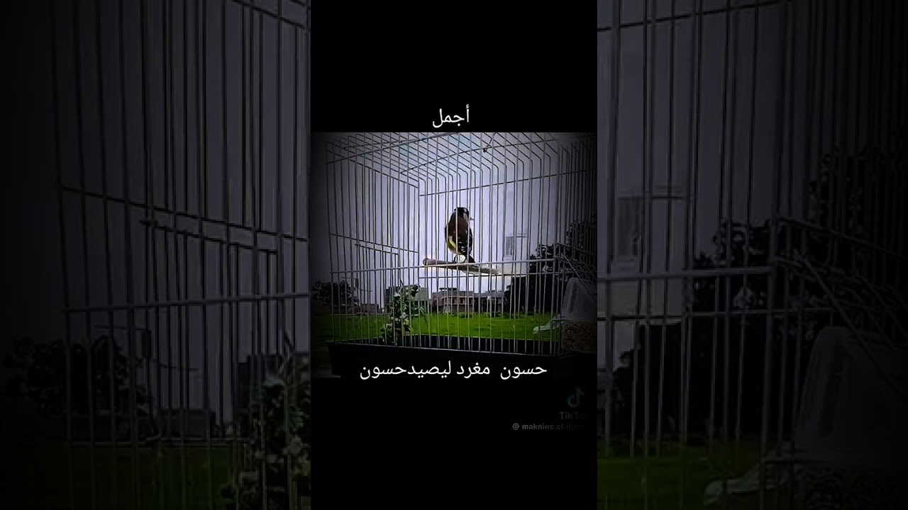 ٣٠ يناير ٢٠٢٦