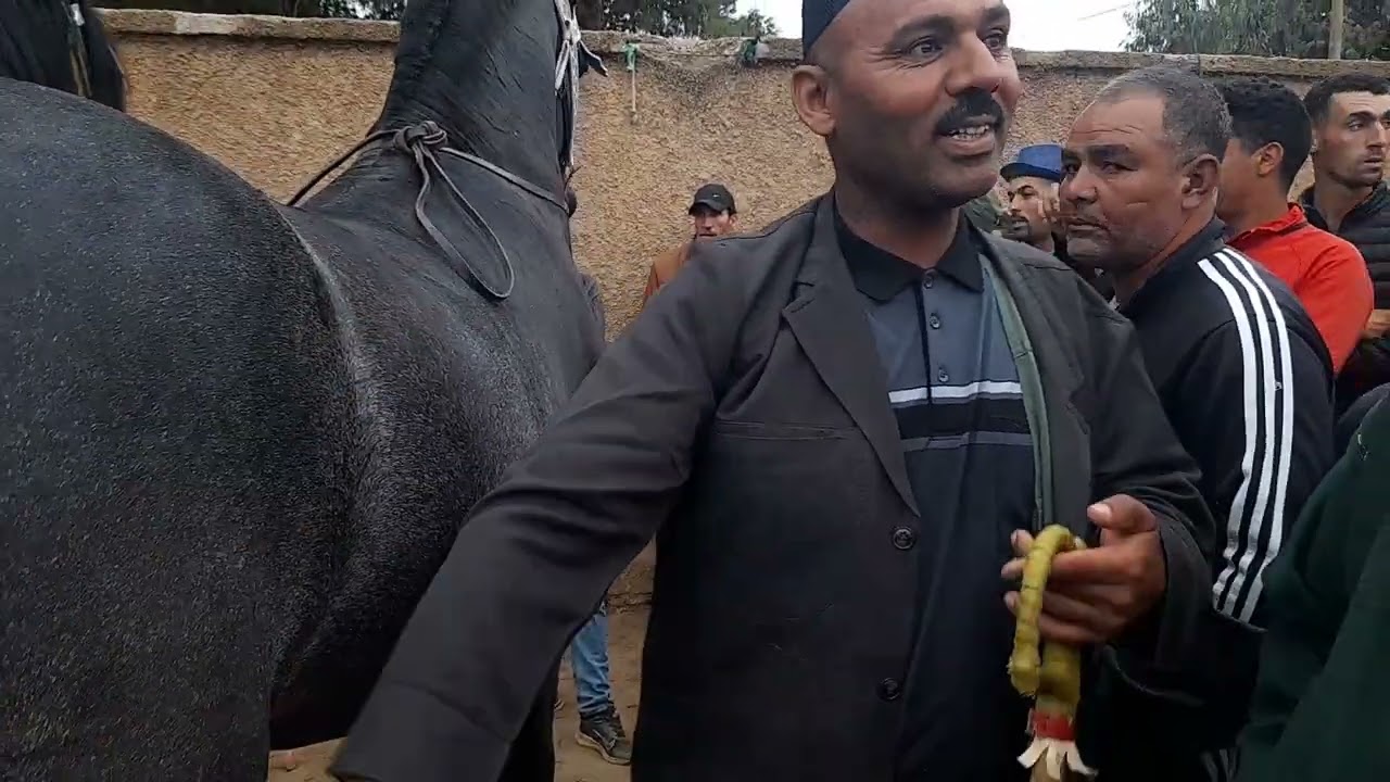 سوق الثلاثاء خميسات العربي طويبة مدخل المليح اليوم الدهم مول  14 مليون