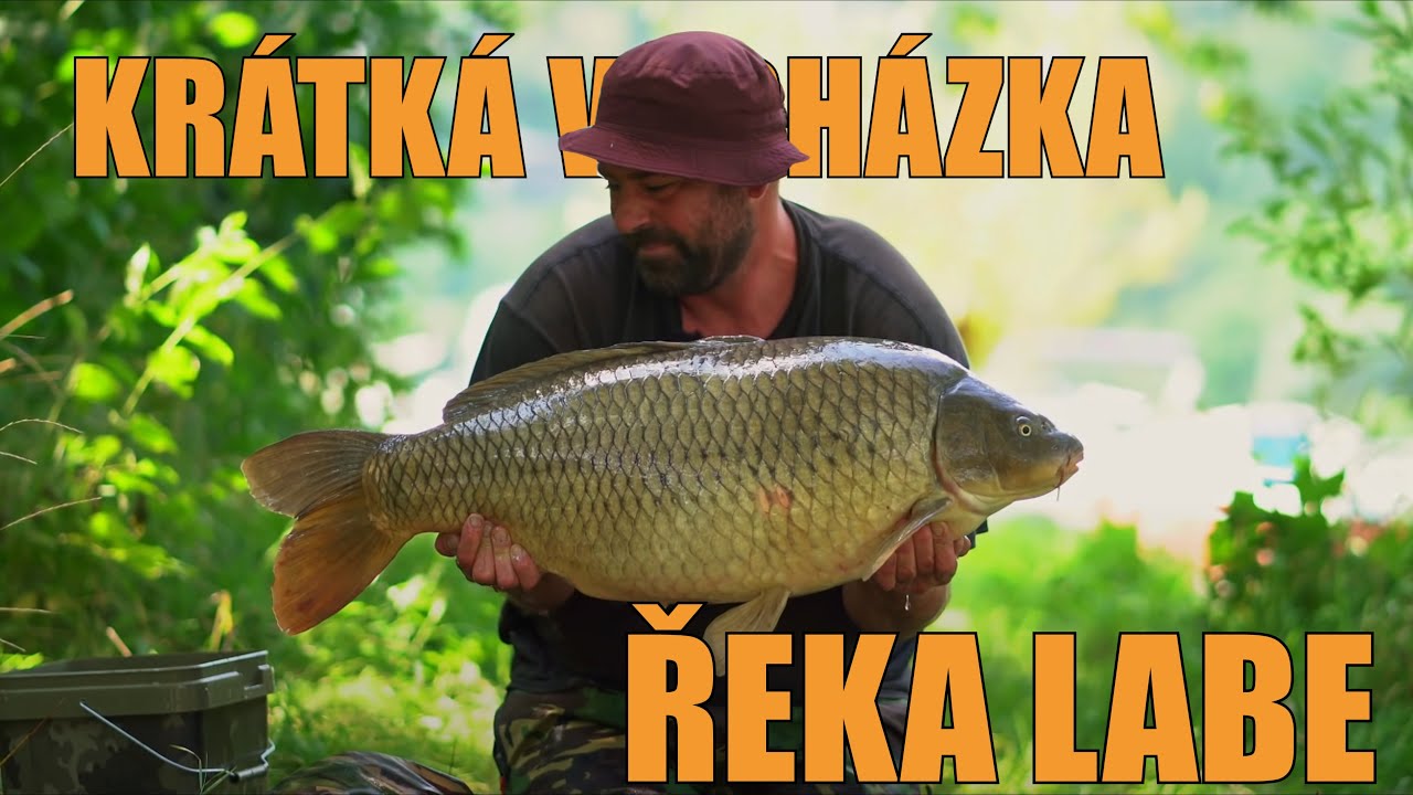 KRÁTKÁ VYCHÁZKA #17 - ŘEKA LABE