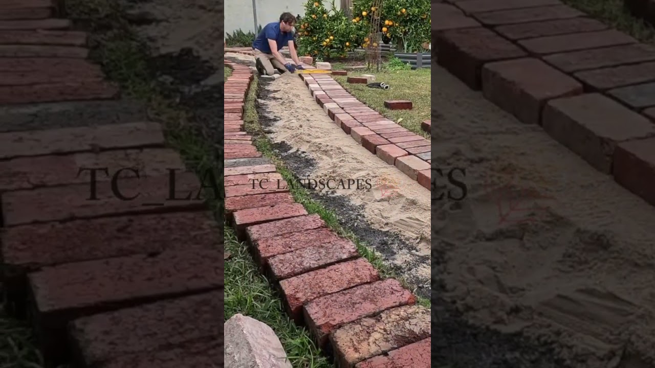 turning old bricks into new path  #brickpaving #diy #garden