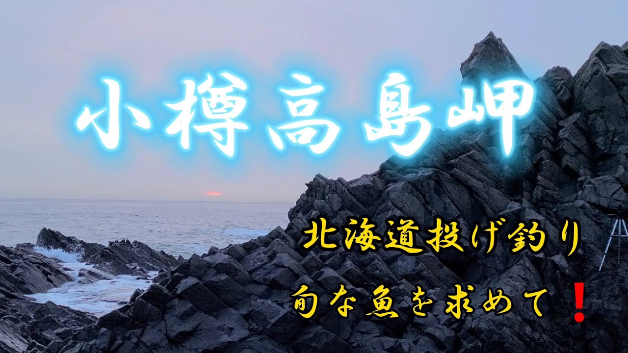 小樽市高島岬　投げ釣りで大型サイズのカレイが沢山釣れる場所❗#小樽#北海道釣り#fishing#釣り#DAIWA#tournament#釣魚#낚시#ドローン#DJI#MavicMini
